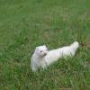 Titch2