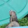dscn0334