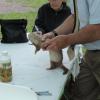 dscn0407