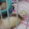 dscn0427