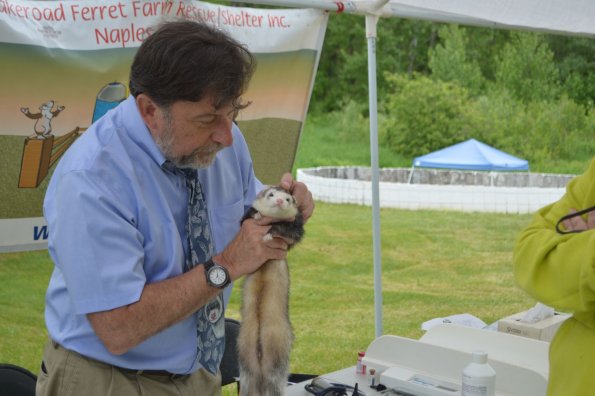Vet with Christine & Fred (3)