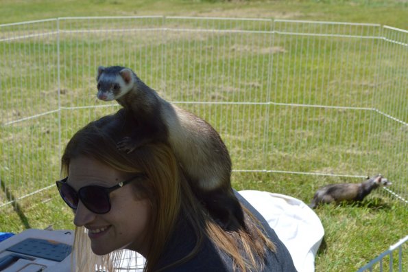 Christine with Bandit3