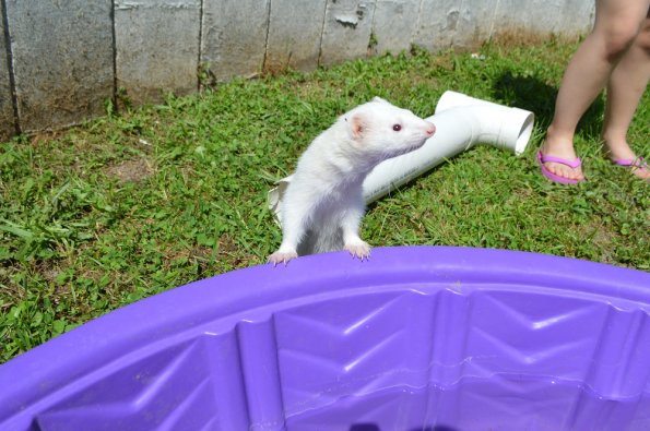 Play yard fun  with Aurora (1)