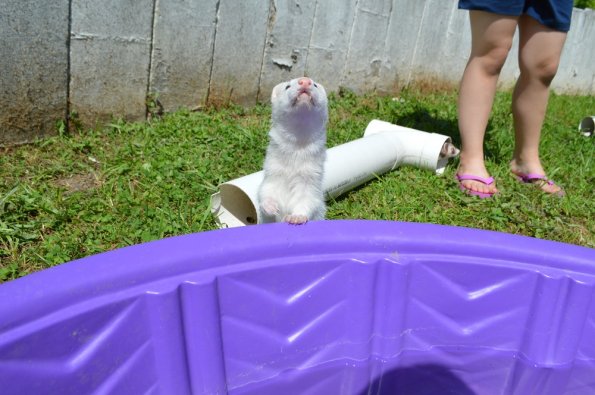 Play yard fun  with Aurora (3)