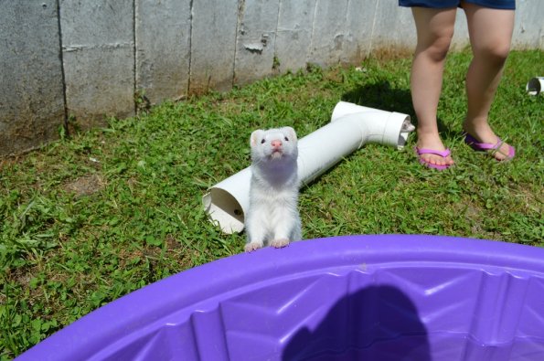 Play yard fun  with Aurora (4)