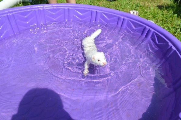 Play yard fun  with Aurora (5)