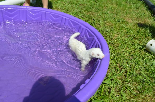 Play yard fun  with Aurora (7)