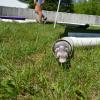 Play yard fun with Andy's Bear (1)